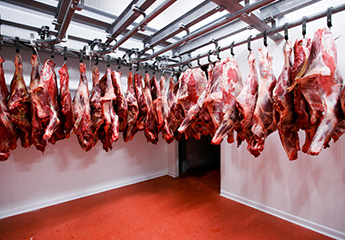 Cámaras de refrigeración para carnicería